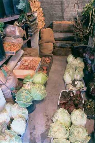 Natural Cold Storage: Fresh Food in Winter